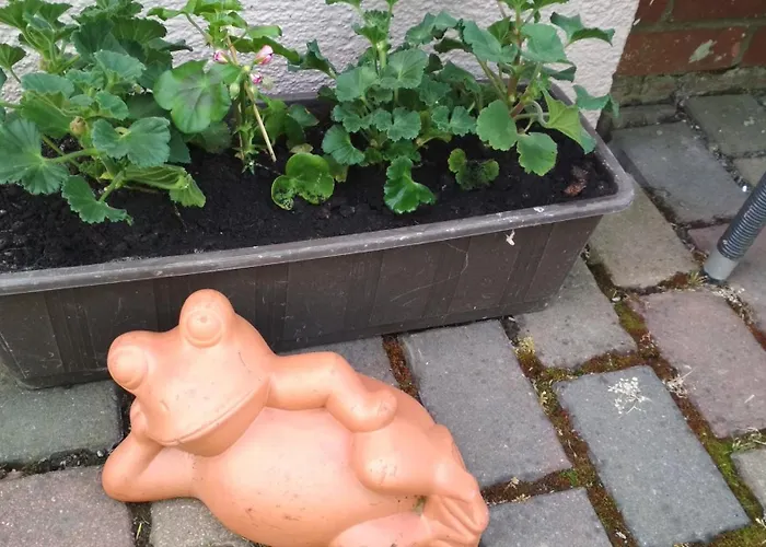 Apartamento 1 Bad Eilsen