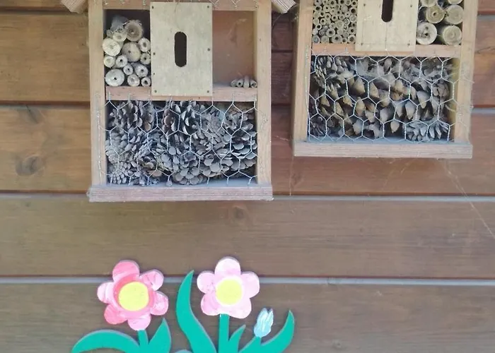 Apartamento 1 Bad Eilsen